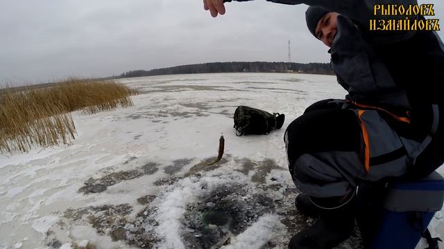 Ловля щуки на жерлицы смотреть онлайн