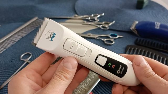 Базовый инструмент для владельца пуделя. смотреть онлайн