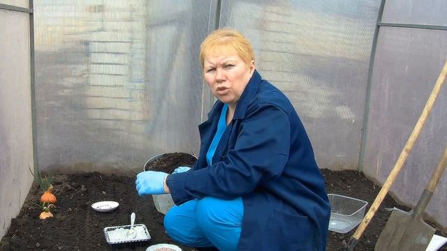 ? Посев Руколлы. Когда и как посеять рукколу.