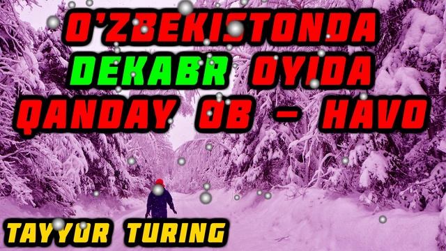 O‘zbekistonda DEKABR oyida qanday ob havo kutilmoqda смотреть онлайн
