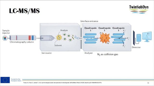 Workshop LCMSMS смотреть онлайн