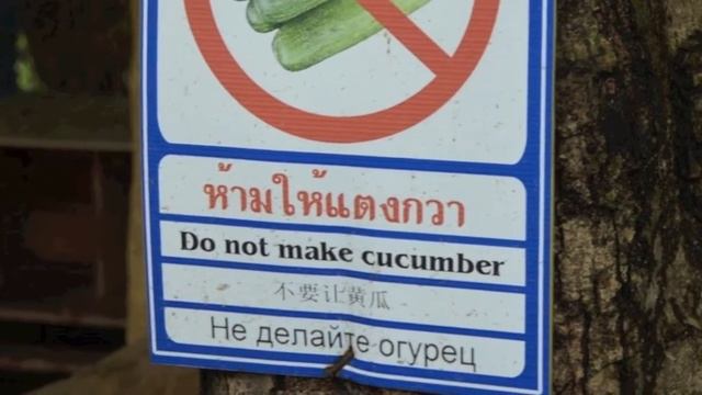 Khao Keo Zoo Pattaya смотреть онлайн