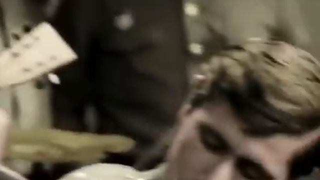 Смуглянка, клен зеленый да клен кудрявый