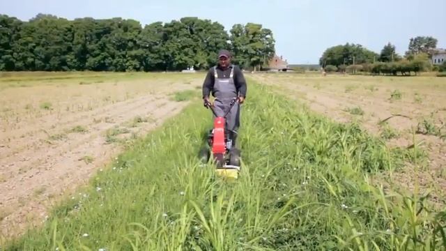 EUROSYSTEMS MINIEFFE RM B&S 625 Χορτοκοπτικό μπάρας, αυτοκινούμενο, 87cm, 27 / 16 смотреть онлайн