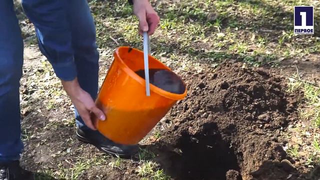 В Москве миллион деревьев - посади своё! смотреть онлайн