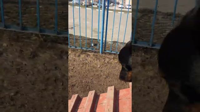 Грызем гранит наук смотреть онлайн