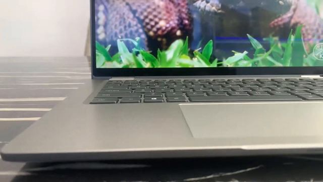 Dell Latitude 7410 - Laptop văn phòng - bền bỉ & sang trọng - Thái Long Computer смотреть онлайн