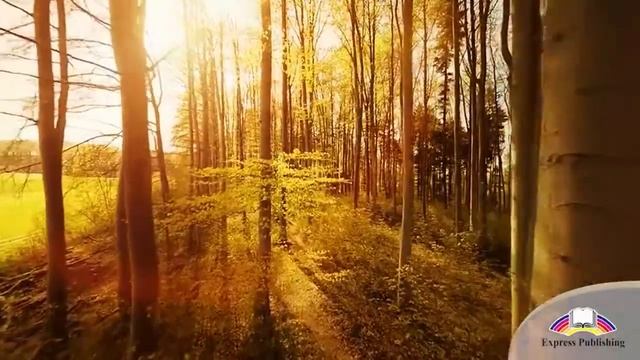 EXCEL 8 Module 6 Tree parts and functions смотреть онлайн