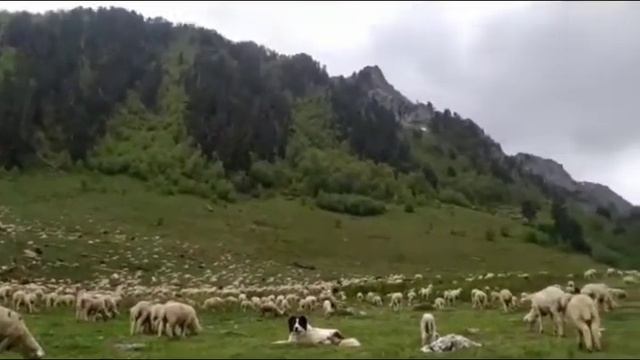 Дагестан Тляратинский район Тохота красота ??? смотреть онлайн