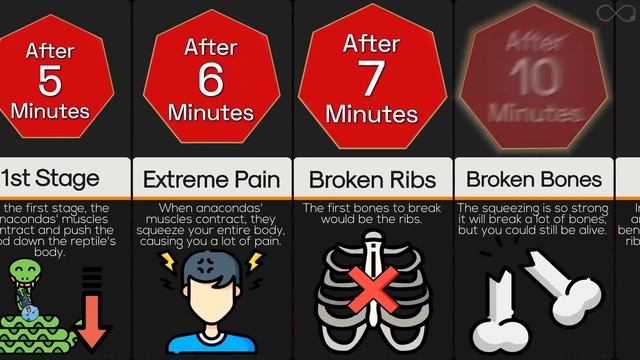 Timeline: If You Were Swallowed By An Anaconda смотреть онлайн