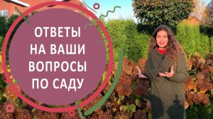 Ответы на вопросы по саду с гортензиями в КП «Никольские Озёра»