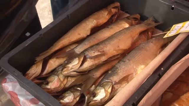 рыба согласование смотреть онлайн