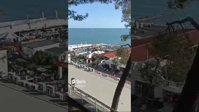 море в городе сочи 2023 (1) смотреть онлайн