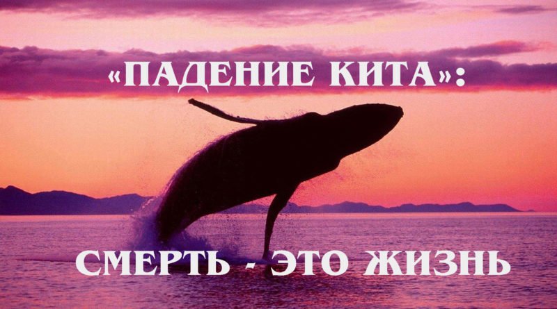 «ПАДЕНИЕ КИТА»: Жестокость или гармония природы? Интересные факты про глубины океана и китов смотреть онлайн
