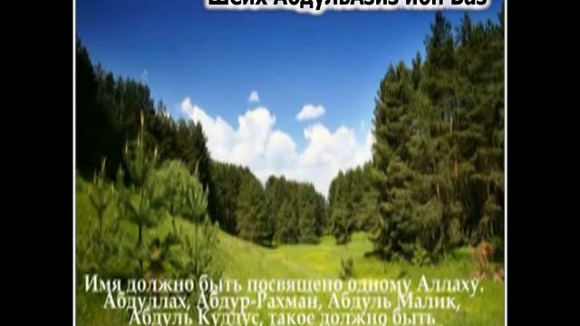 Шейх АбдульАзиз ибн Баз - хукм имени "раб Пророка" смотреть онлайн