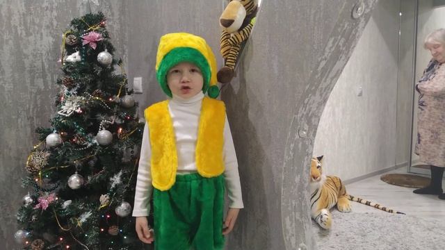 Новогодний подарок от вундеркинда Платона! смотреть онлайн