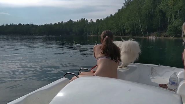 Тёплые озера на Снежной, оз. Изумрудное/оз. Сказка 20 июля 2019г смотреть онлайн