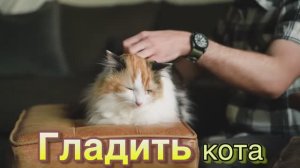 Русский для детей Глаголы (действия)