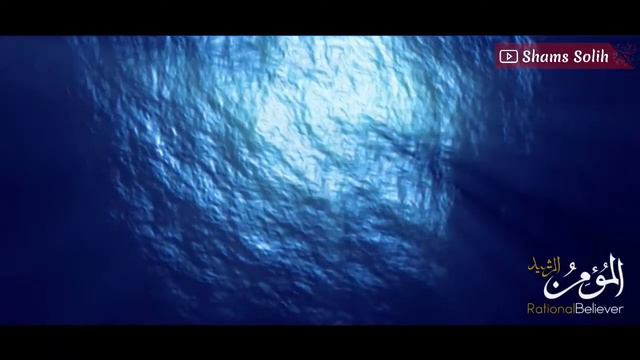 шайтоннинг аскарлари 7-чи қисм смотреть онлайн