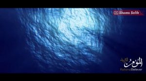 шайтоннинг аскарлари 7-чи қисм