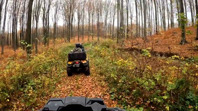 Покатушки на квадроциклах BRP Autlender 1000R XTP Max LTD по лесам и болотам 4K 30.10.2022