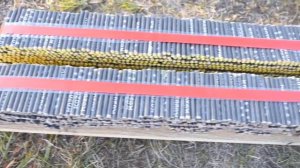 Что будет, если взорвать очень много петард