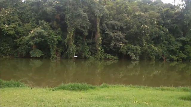 Drone Syma x5 - Parque Jardim Botânico Goiânia смотреть онлайн