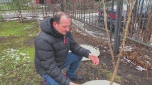 Приствольный круг для дерева