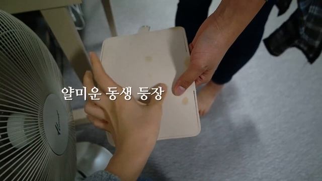 [집순이의 리뷰]가죽공예 DIY KIT 해보기!! 하비풀의 가죽여권케이스 만들기 리뷰!! 이것도 나눔이??!?!!?!?!? смотреть онлайн