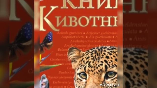 Животные которые занесены в Красную книгу Казахстан смотреть онлайн