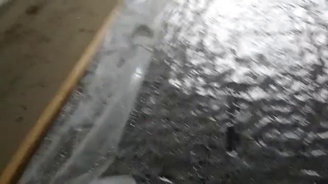 Всходы перца Геркулес. Эксперимент удался! смотреть онлайн