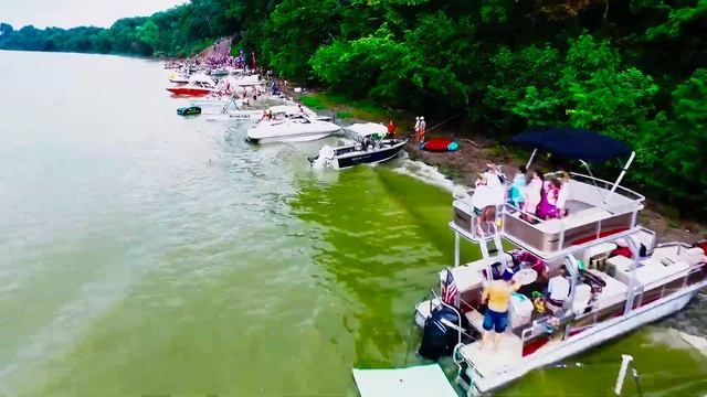 Board Bash 2018 - Good Times смотреть онлайн