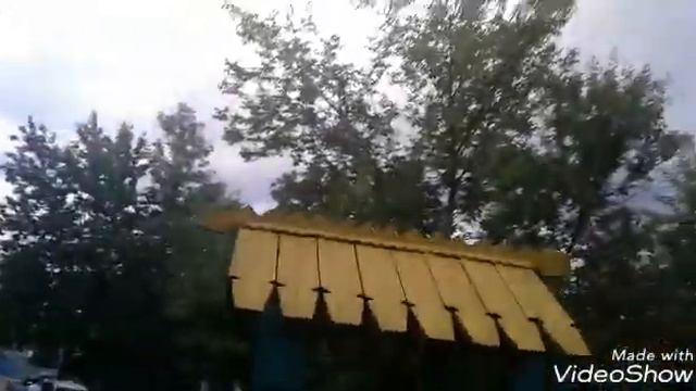 Гуляем со шпицами смотреть онлайн