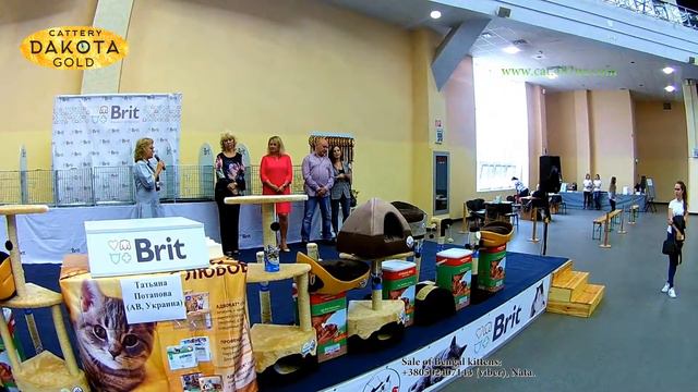 15092018, Выставка кошек, Харьков, Радмир Экспохолл, WCF, 2 начало смотреть онлайн