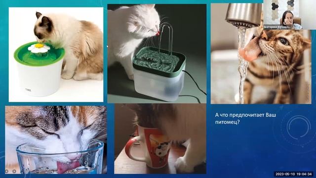 Лей, не жалей почему важно пить много воды