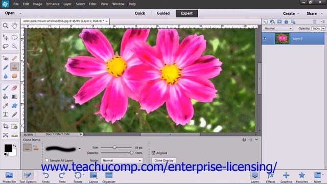 Adobe Photoshop Elements 12 Tutorial Manipulating Images Employee Group Training 13.12 смотреть онлайн