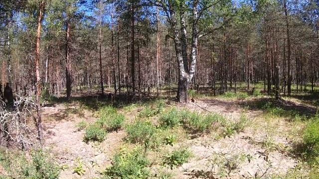 Сплав по реке Лух 2021 день седьмой. Дневка. Заброшенное урочище Кресты. Предфинишный депресняк. смотреть онлайн