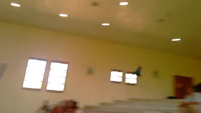 хищная птица смотреть онлайн
