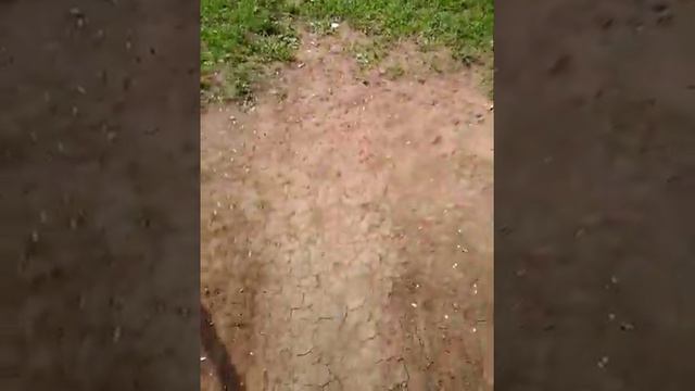 Я на озере!!! смотреть онлайн