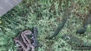 Акрос 595+.Ремонт .Последствия после попадания камней.