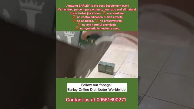 Legit distributors of amazing Barley Products | Julie Channel смотреть онлайн