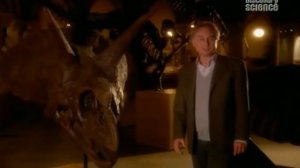 Сложный вопрос  Почему мы здесь  Ричард Докинс