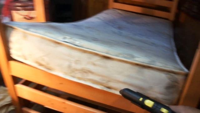 Клопы. Как все начиналось.