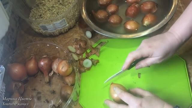 СЕКРЕТ УСПЕХА! Посадка ЛУКА на выгонку. На перо. смотреть онлайн