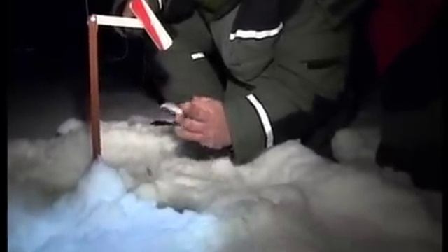 tv-fishing.ru Моя Рыбалка Выпуск 006 Можайское ВДХР 2 10.02 смотреть онлайн