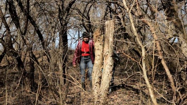 В поисках первоцветов смотреть онлайн