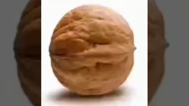 Орех стоит под музыку 10 часов (The Nut Stands To The Music For 10 Hours)