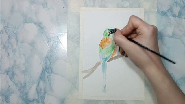 Как нарисовать акварелью экзотическую птичку. Урок для начинающих смотреть онлайн