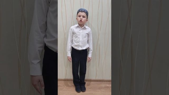309.* Хусаинов Дамир, «Ана догасы" Г.Тукай смотреть онлайн