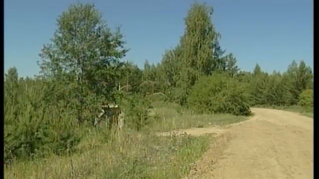 задержали чёрных лесорубов смотреть онлайн